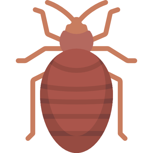 Bed Bug Treatment