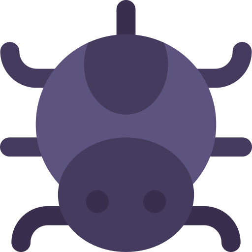 Spider Control