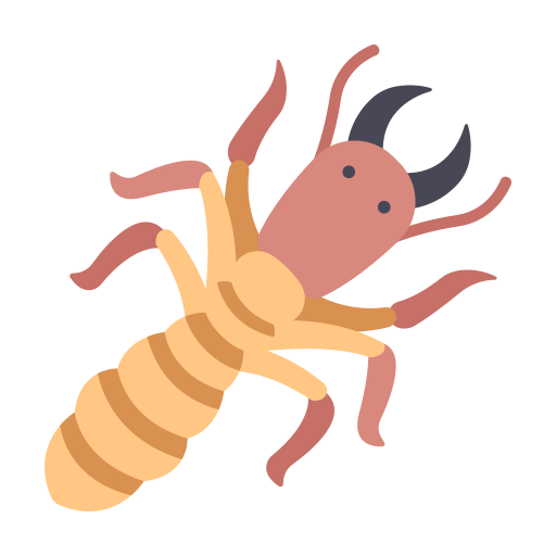 Termite Control